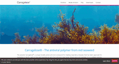 Desktop Screenshot of carragelose.com